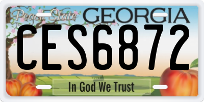 GA license plate CES6872