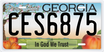 GA license plate CES6875