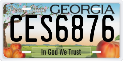 GA license plate CES6876