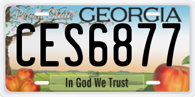 GA license plate CES6877