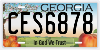 GA license plate CES6878