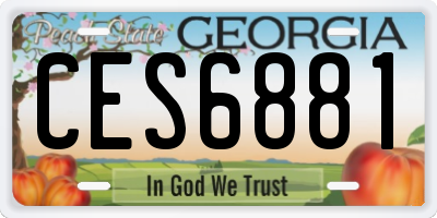 GA license plate CES6881