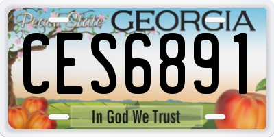 GA license plate CES6891
