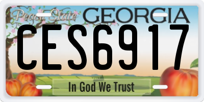 GA license plate CES6917