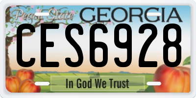 GA license plate CES6928