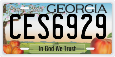 GA license plate CES6929