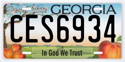 GA license plate CES6934