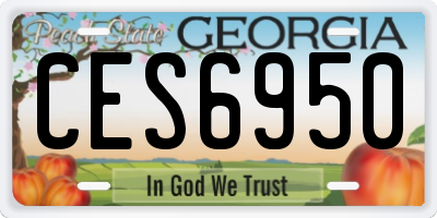 GA license plate CES6950
