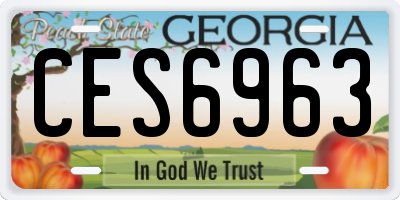 GA license plate CES6963