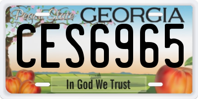 GA license plate CES6965