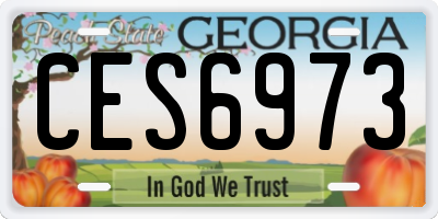 GA license plate CES6973