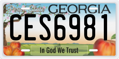 GA license plate CES6981