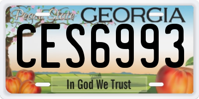 GA license plate CES6993