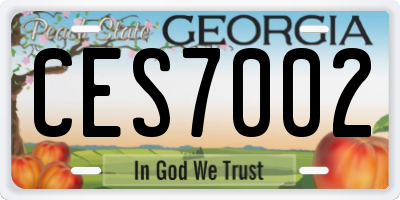 GA license plate CES7002