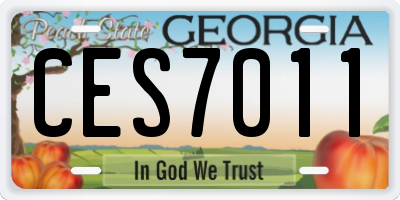 GA license plate CES7011
