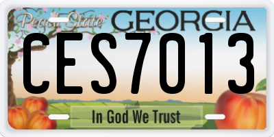 GA license plate CES7013