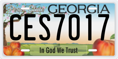 GA license plate CES7017