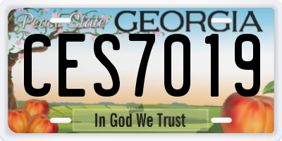 GA license plate CES7019