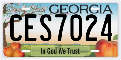 GA license plate CES7024