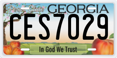 GA license plate CES7029