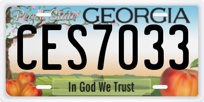 GA license plate CES7033