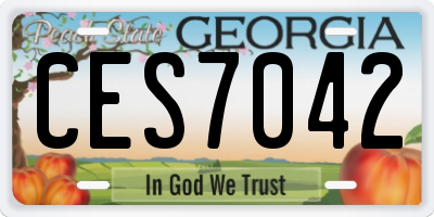 GA license plate CES7042