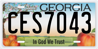 GA license plate CES7043