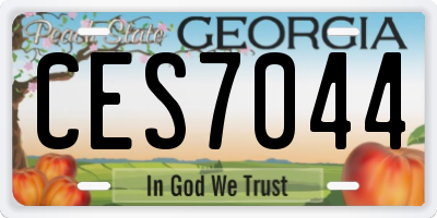 GA license plate CES7044