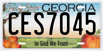 GA license plate CES7045