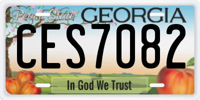 GA license plate CES7082