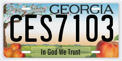 GA license plate CES7103