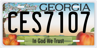 GA license plate CES7107