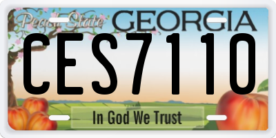 GA license plate CES7110