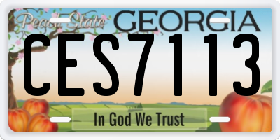 GA license plate CES7113