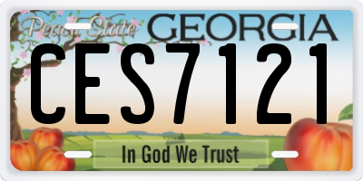 GA license plate CES7121