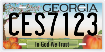 GA license plate CES7123