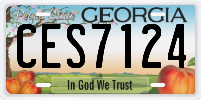 GA license plate CES7124
