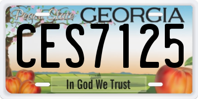 GA license plate CES7125