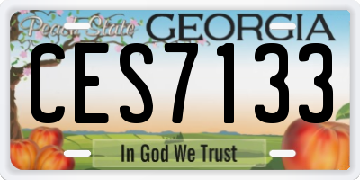 GA license plate CES7133