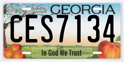 GA license plate CES7134