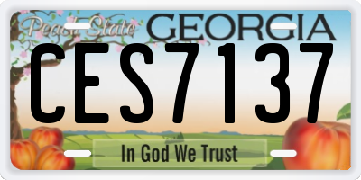 GA license plate CES7137