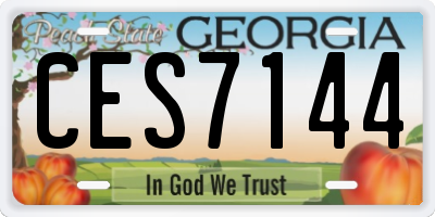 GA license plate CES7144