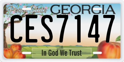 GA license plate CES7147