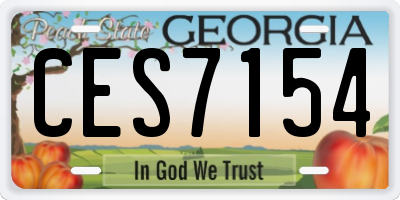GA license plate CES7154