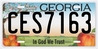 GA license plate CES7163