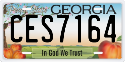 GA license plate CES7164