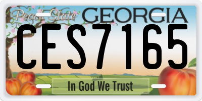 GA license plate CES7165