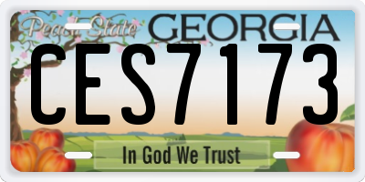 GA license plate CES7173