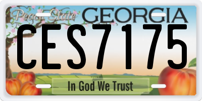 GA license plate CES7175