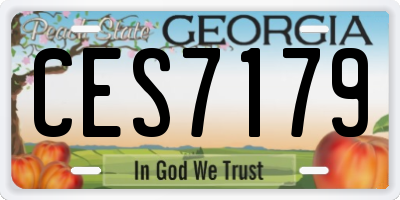 GA license plate CES7179
